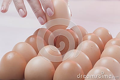 The chosen egg Stock Photo