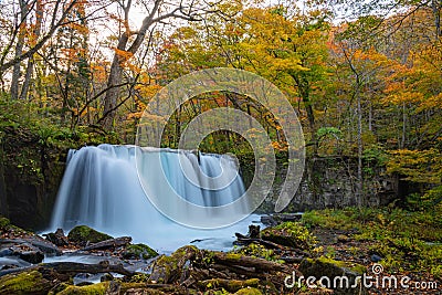 Choshi Otaki Falls ( Oirase Stream ) in sunny day Stock Photo