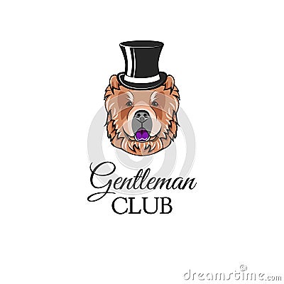 Chow chow gentleman. Top hat. Accessorry. Dog portrait. Vector. Vector Illustration