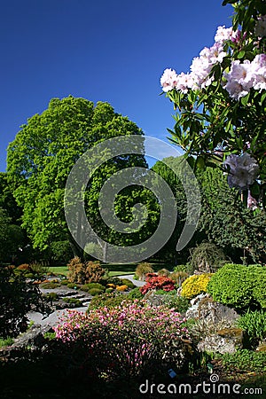 Christchurch Botanic garden Stock Photo