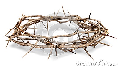 Crown of Thorns Stock Photo