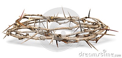 Crown of Thorns Stock Photo
