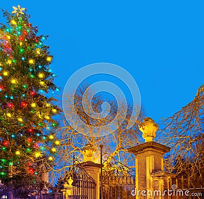 Christma tree with old gateway Stock Photo