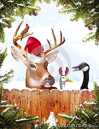 Christmas animals Stock Photo