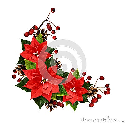 Christmas arrangement with pine twigs, cones, berries and ponsettia flowers Stock Photo