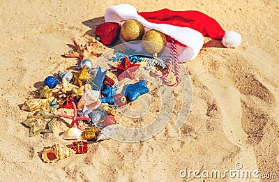 Christmas background on the beach with shells on the sand. Selective focus Stock Photo