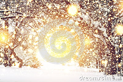 Christmas background. Magic glowing lights in snowy forest. Xmas time. Winter fairytale Stock Photo