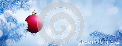 Christmas Background of Red Ball on the Snow Blue Tree Stock Photo