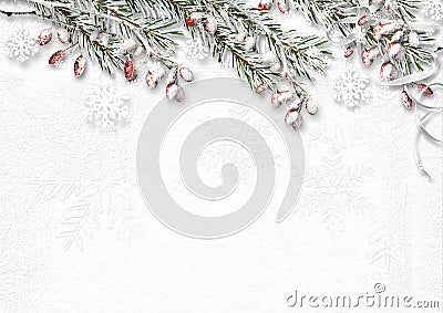 Christmas background with snow covered fir branches and red berries Stock Photo