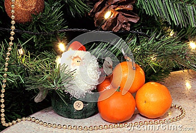 Santa Claus stands under the tree, next to him are orange, small tangerines. Stock Photo