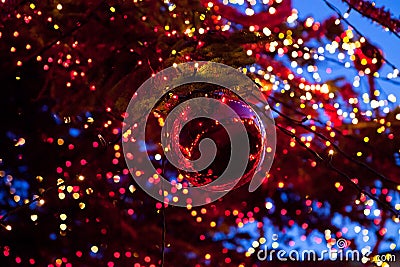 Christmas ball with ornament lights on a tree Stock Photo