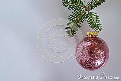 Christmas ball with pink sequins inside, Christmas tree branch on a white background. Copy space. Stock Photo