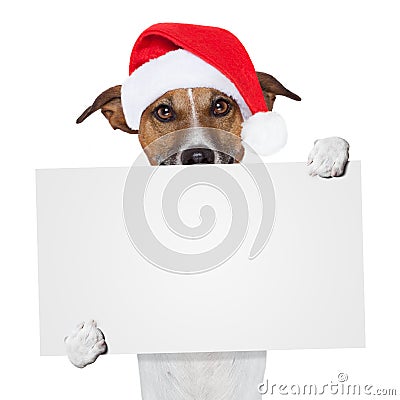 Christmas banner placeholder dog Stock Photo