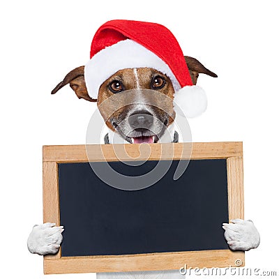Christmas banner placeholder dog Stock Photo