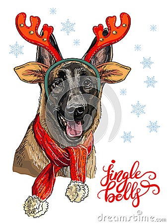 Christmas belgian shepherd malinois vector hand drawn illustration Vector Illustration