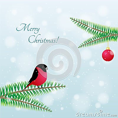 Christmas Bird. Vector Bullfinch on branch Vector Illustration