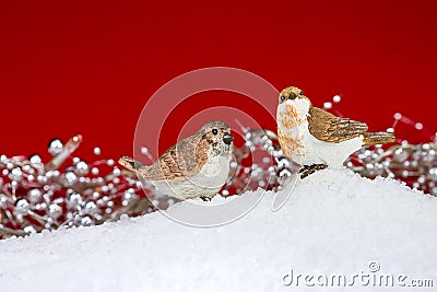 Christmas birds Stock Photo