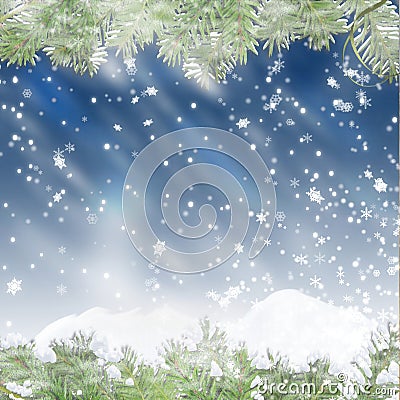 Christmas blue background with pine branches Stock Photo