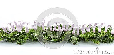 Christmas border arranged with fresh green fir branches and serpentine on white background. Copy space Stock Photo