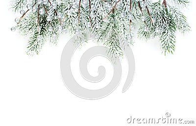 Christmas border composition. Winter evergreen fir branches and silver berries isolated on white background Stock Photo