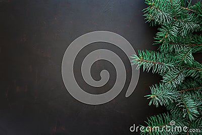 Christmas Border. Fir tree branches on dark wooden background Stock Photo