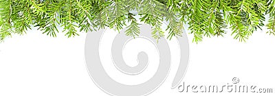 Christmas border with fresh snowy fir branches on white background. Christmas, winter, new year concept. Copy space Stock Photo