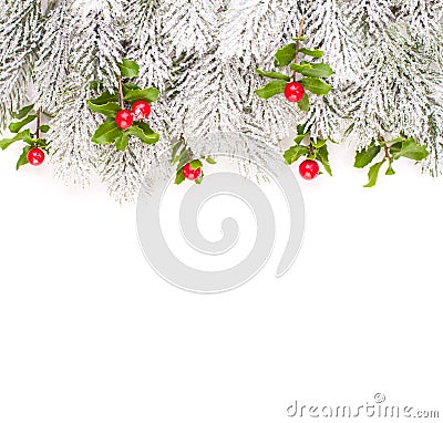 Christmas border with green Xmas tree twig and holly berries and leaves Stock Photo