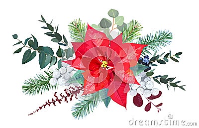 Christmas bouquet arranged from red poinsettia, parvifolia Vector Illustration