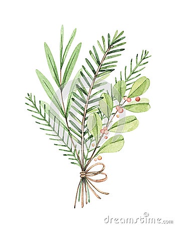 Christmas bouquet with eucalyptus, fir branch and holly - Watercolor illustration. Happy new year. Winter greenery composition. Pe Cartoon Illustration