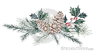 Christmas bouquet of ilex branches with red berries and spruce twig, evergreen tree, pine cone. Emerald holly leaves Cartoon Illustration