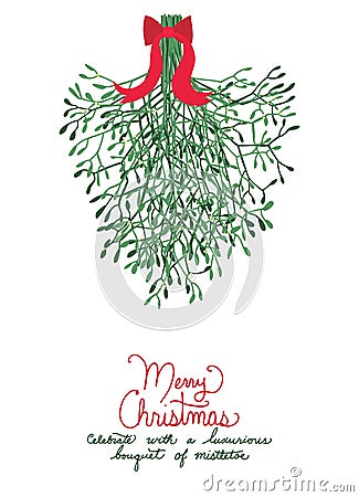 Christmas bouquet of mistletoe hanging with red bow and handwritten text saying Merry Christmas in red letters, Cute holiday vecto Vector Illustration