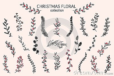 Christmas branch. Holly plants, twigs and leaves, pine sketch with leaf and flower, berries decoration. Botanical Vector Illustration