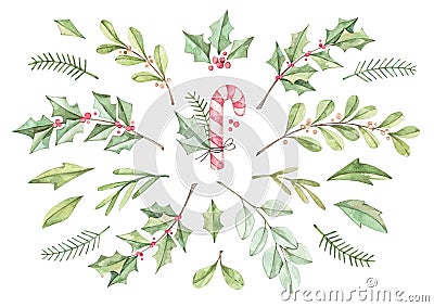 Christmas card with eucalyptus, fir branch, candy and holly - Watercolor illustration. Happy new year. Winter greenery design ele Cartoon Illustration