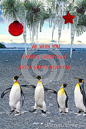 Christmas card, four singing penguins wishing Merry Christmas, happy New Year. Concept of beeing together brings joy, happiness Cartoon Illustration