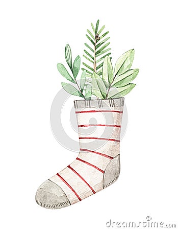 Christmas card with holiday socks, fir branch, mistletoe and eucalyptus - Watercolor illustration. Happy new year. Winter design Cartoon Illustration