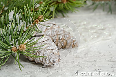 Christmas card with snow fir tree and pinecones Stock Photo