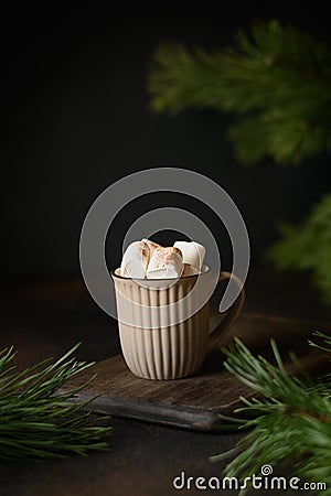 Christmas warming coffee or cocoa with marshmallow . Stock Photo