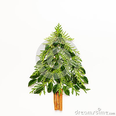 Christmas composition in shape of Christmas tree with branches of thuja, spruce and holly on white background. Merry christmas Stock Photo