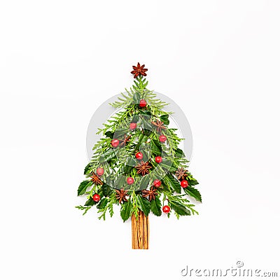 Christmas composition in shape of Christmas tree with branches of thuja, spruce and spices on white background. Merry christmas Stock Photo