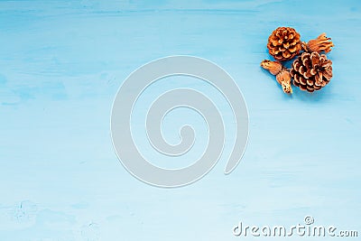 Christmas cones nuts on Blue Christmas background Christmas Stock Photo