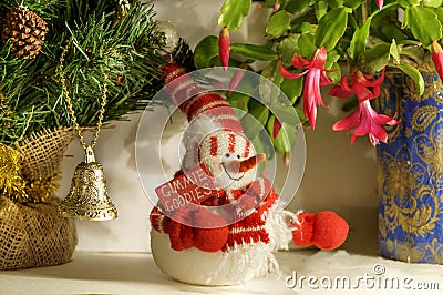 Christmas Stock Photo