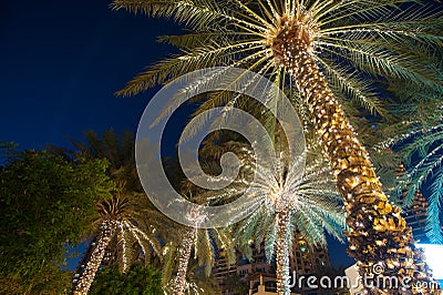 Christmas decoration background palm tree Stock Photo