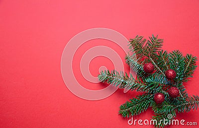 Fir twig fresh against red color background Stock Photo