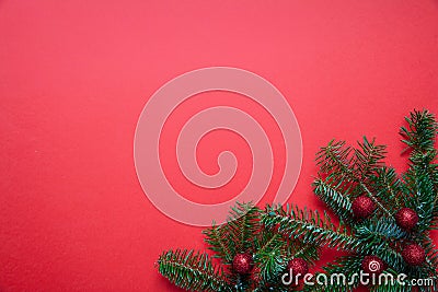 Fir twig fresh against red color background Stock Photo
