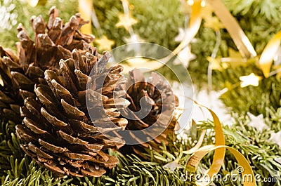 Christmas decoration of fur-tree and cones Stock Photo