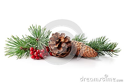 Christmas decoration of holly berry and pine cone Stock Photo