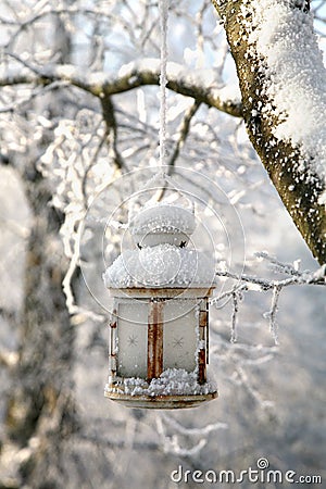 Christmas decoration with lantern, snow and fir tree branch. Stock Photo