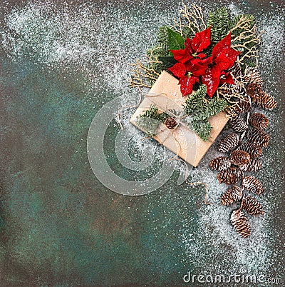 Christmas decoration Pine branches red flowers poinsettia snow Stock Photo