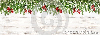 Christmas decoration red berries golden lights Holidays banner Stock Photo