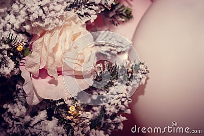 Christmas decoration with a scarlet rose on the branches of a Christmas tree Stock Photo